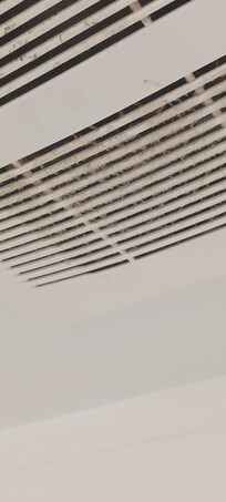 Dirty bathroom vent