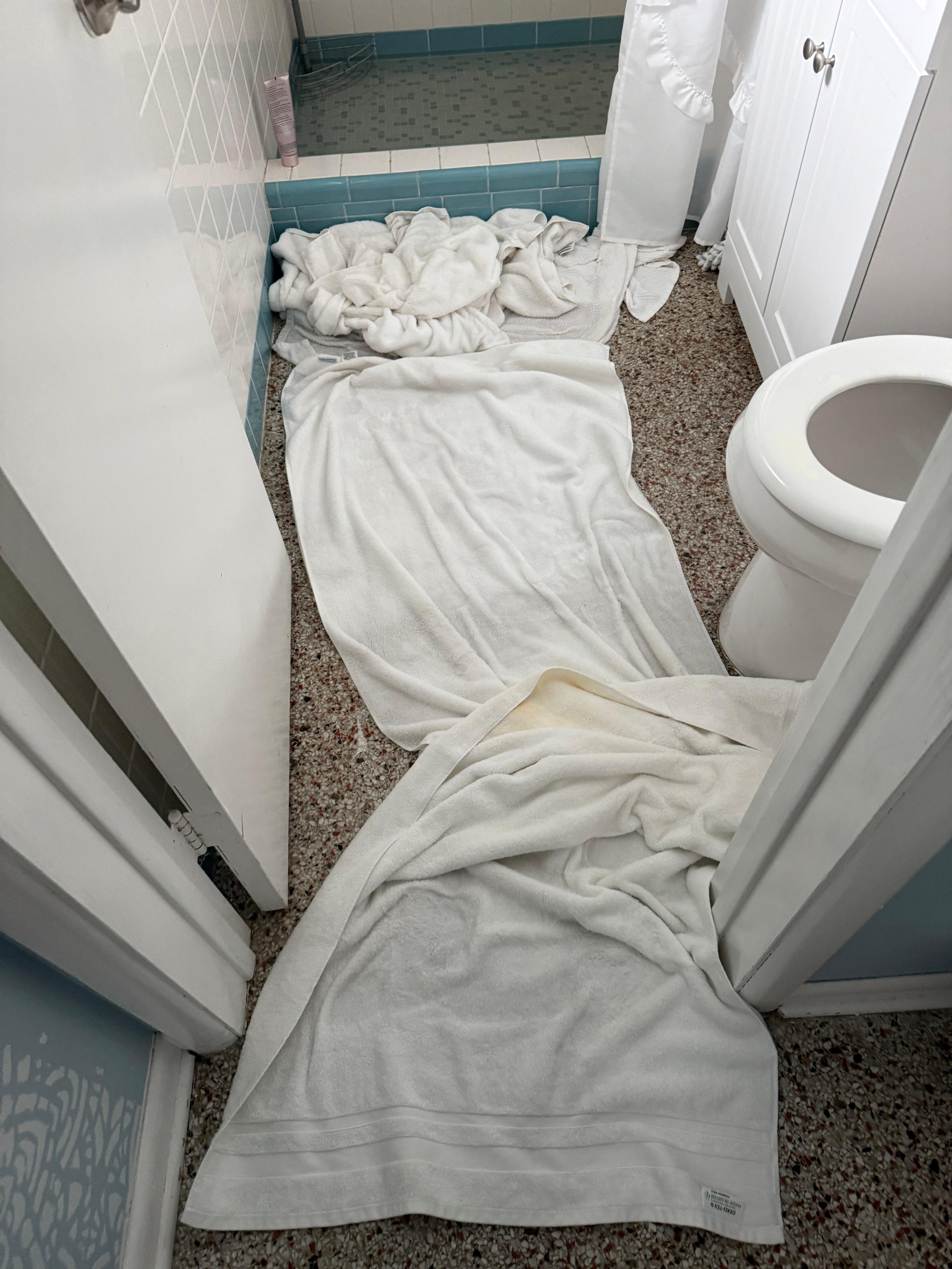 Flooded toliet