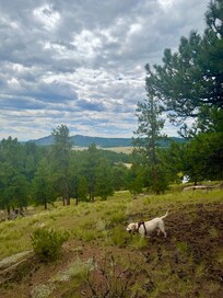 Hiking the property.