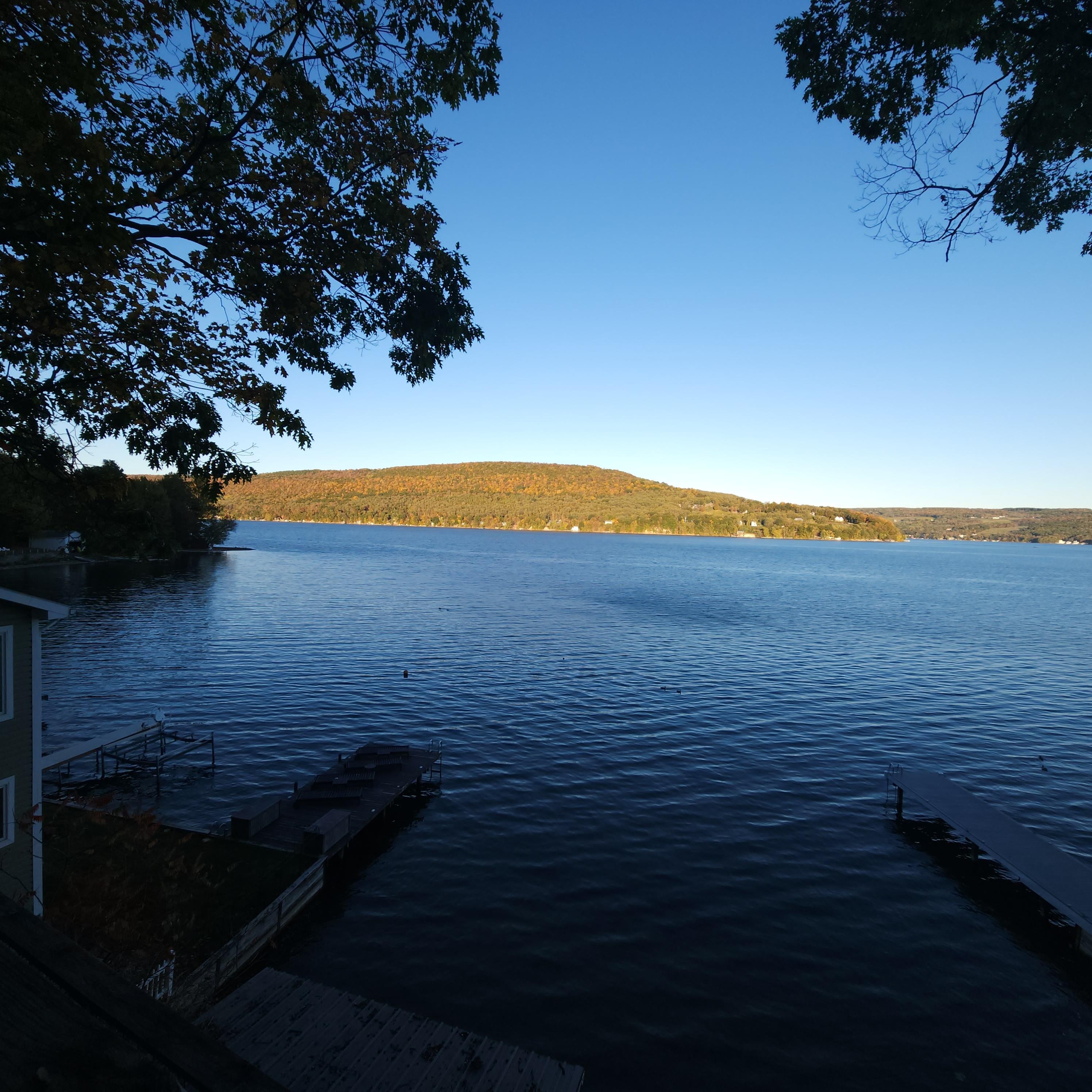 Our view from the family room. 