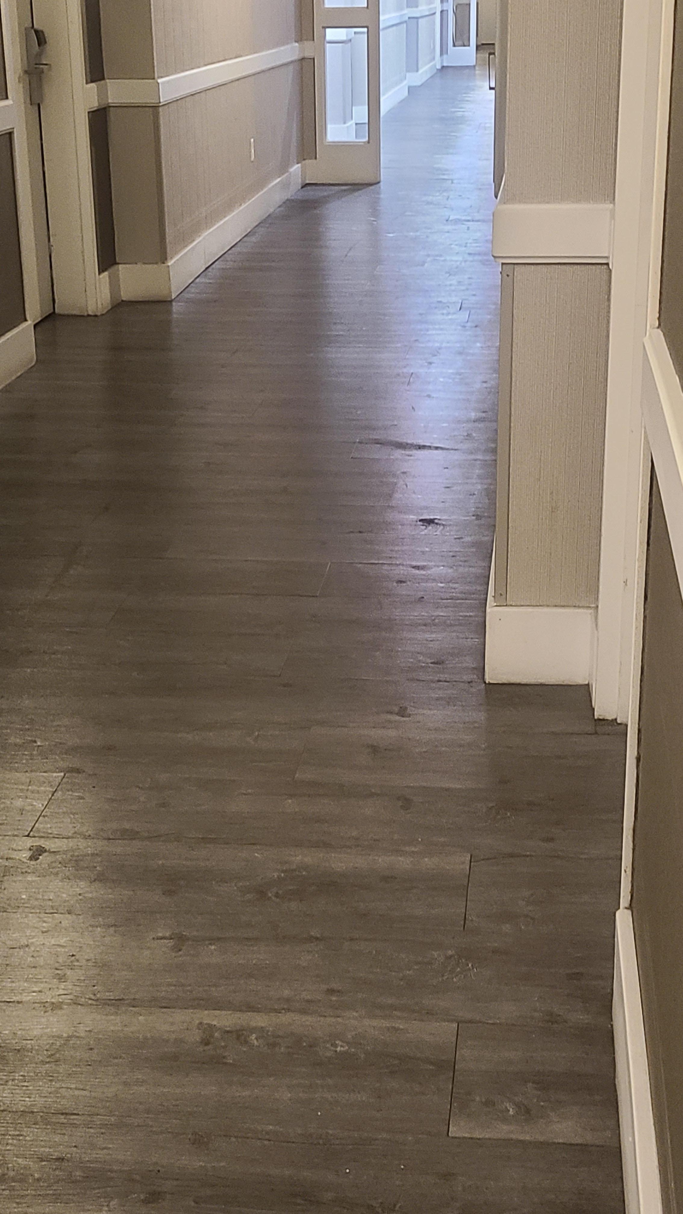 Nasty/dirty hallways