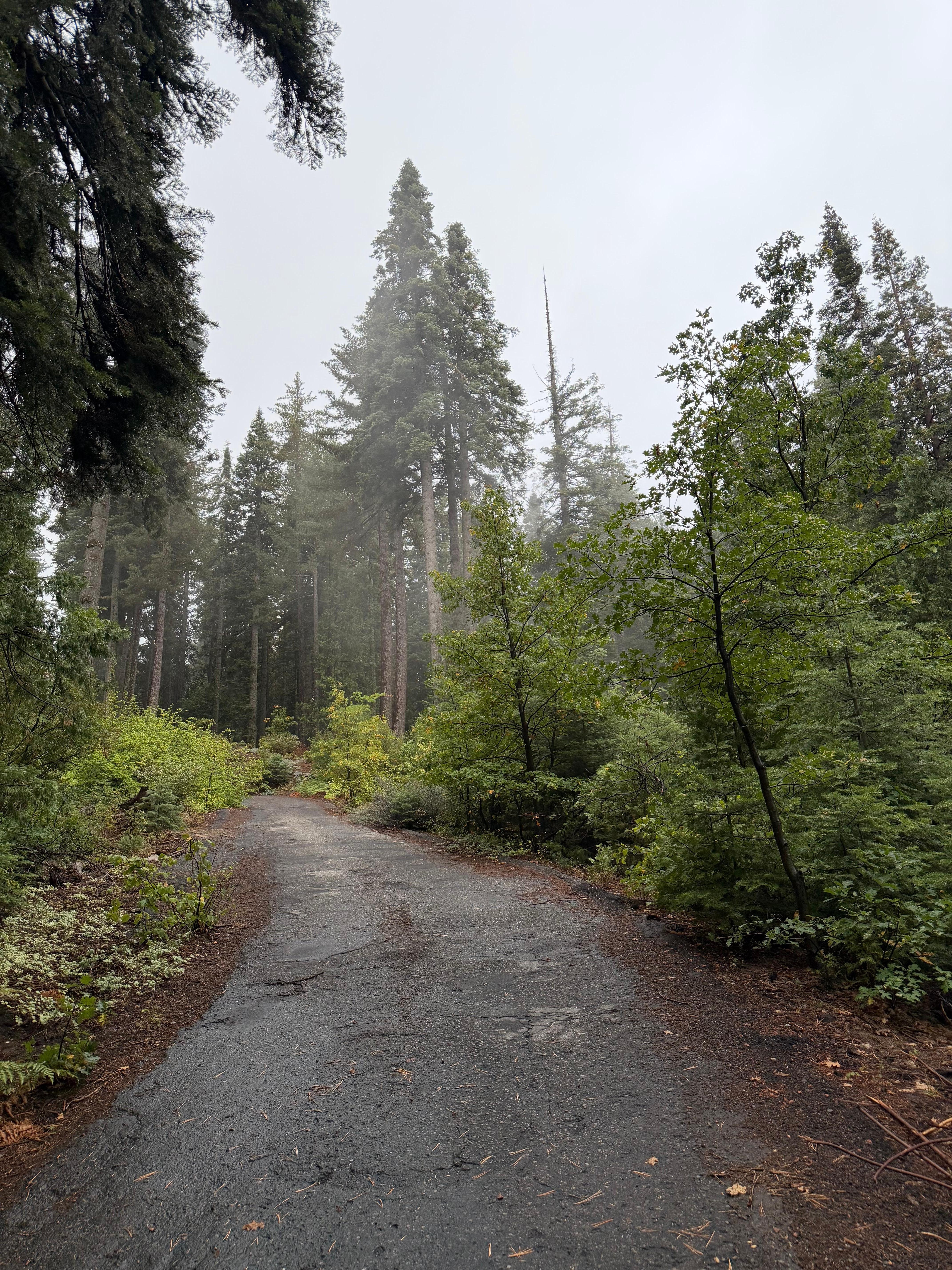 Looking out from the deck