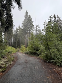 Looking out from the deck
