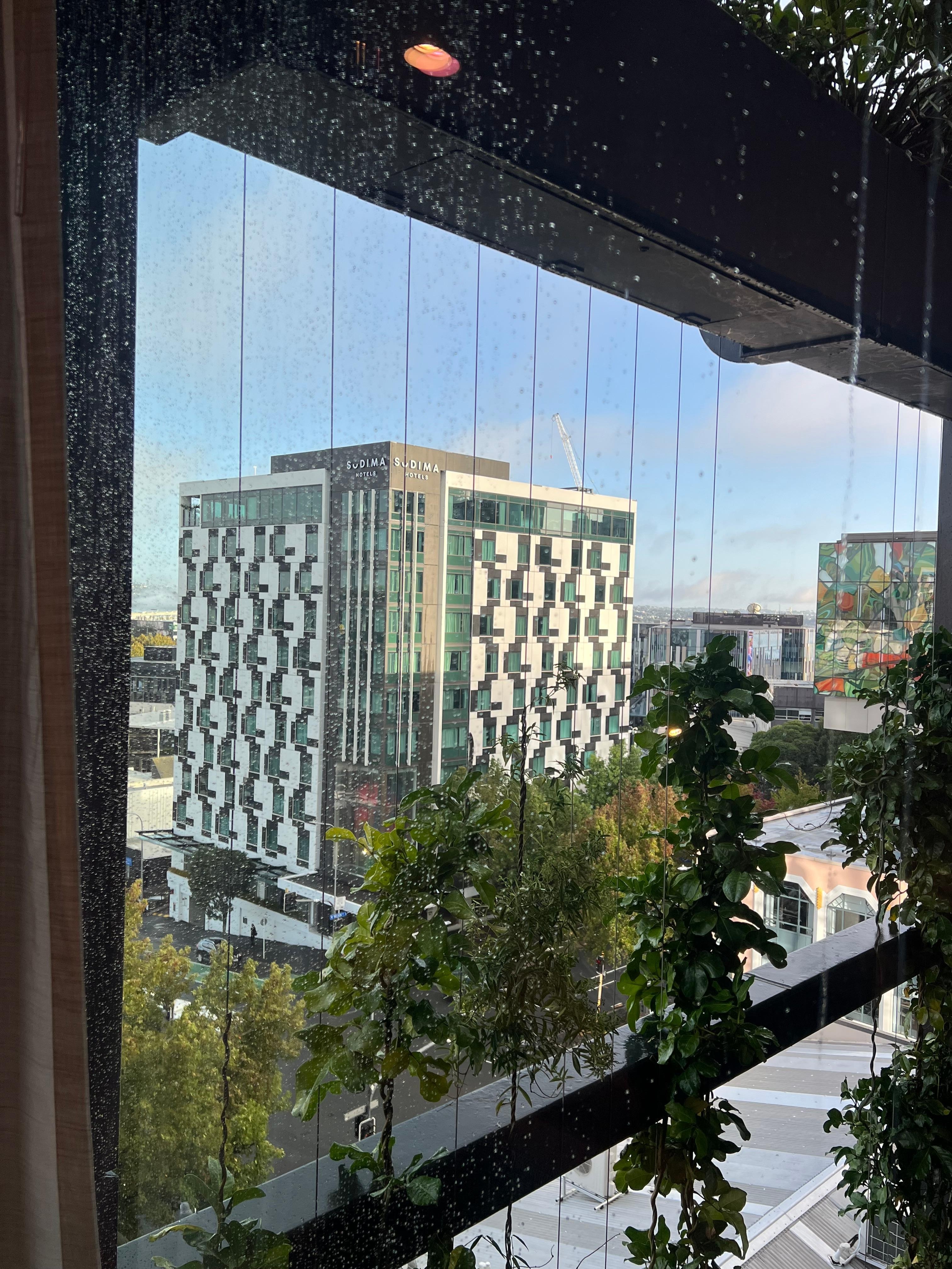 Beautiful sunshine following morning 