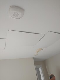 Cardboard covering water damage.