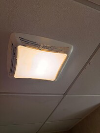 Mold and dust on the fan