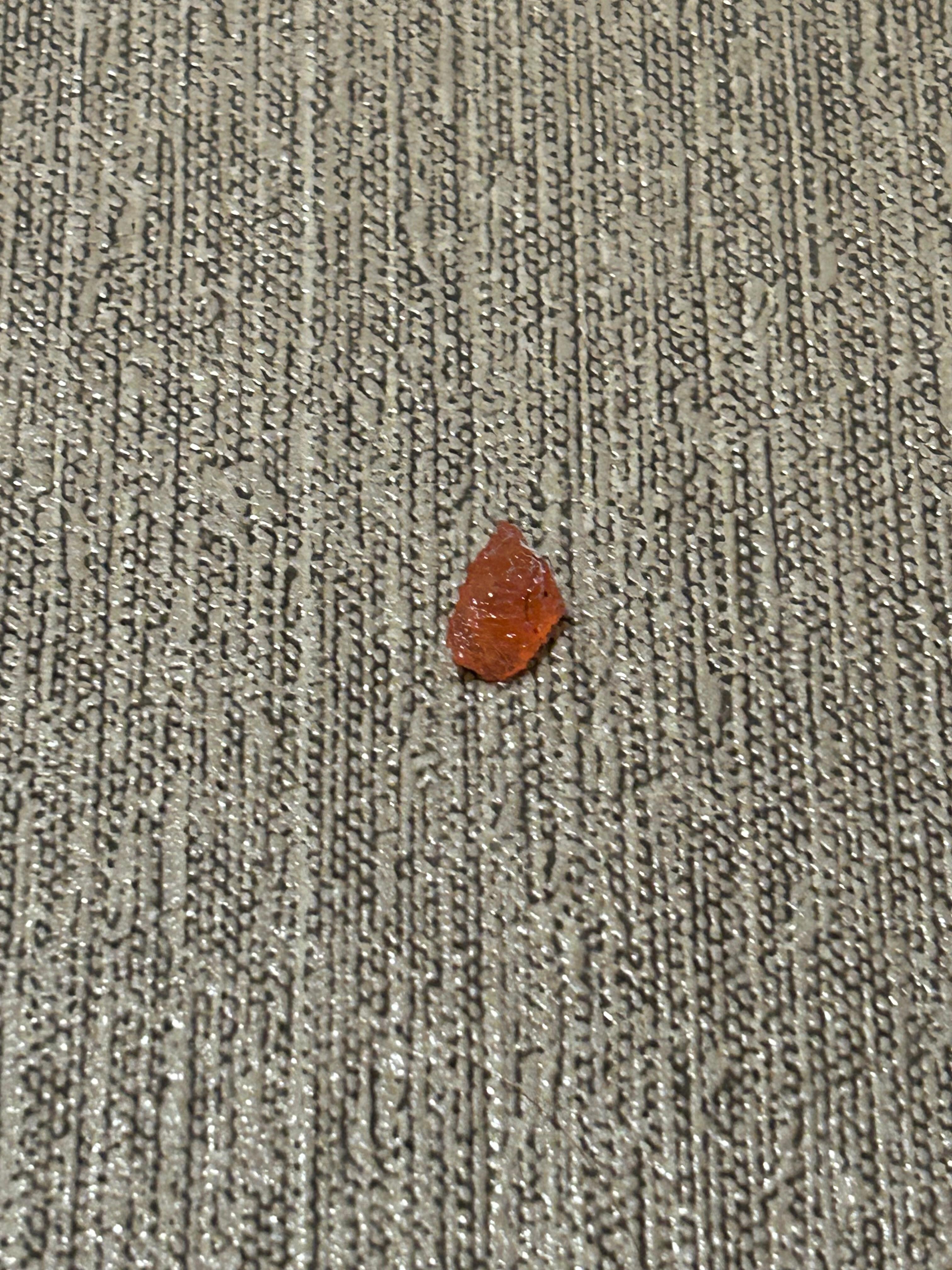 Some strange gummy was on the floor of the bathroom, along with other bits of debris, when I first walked in.