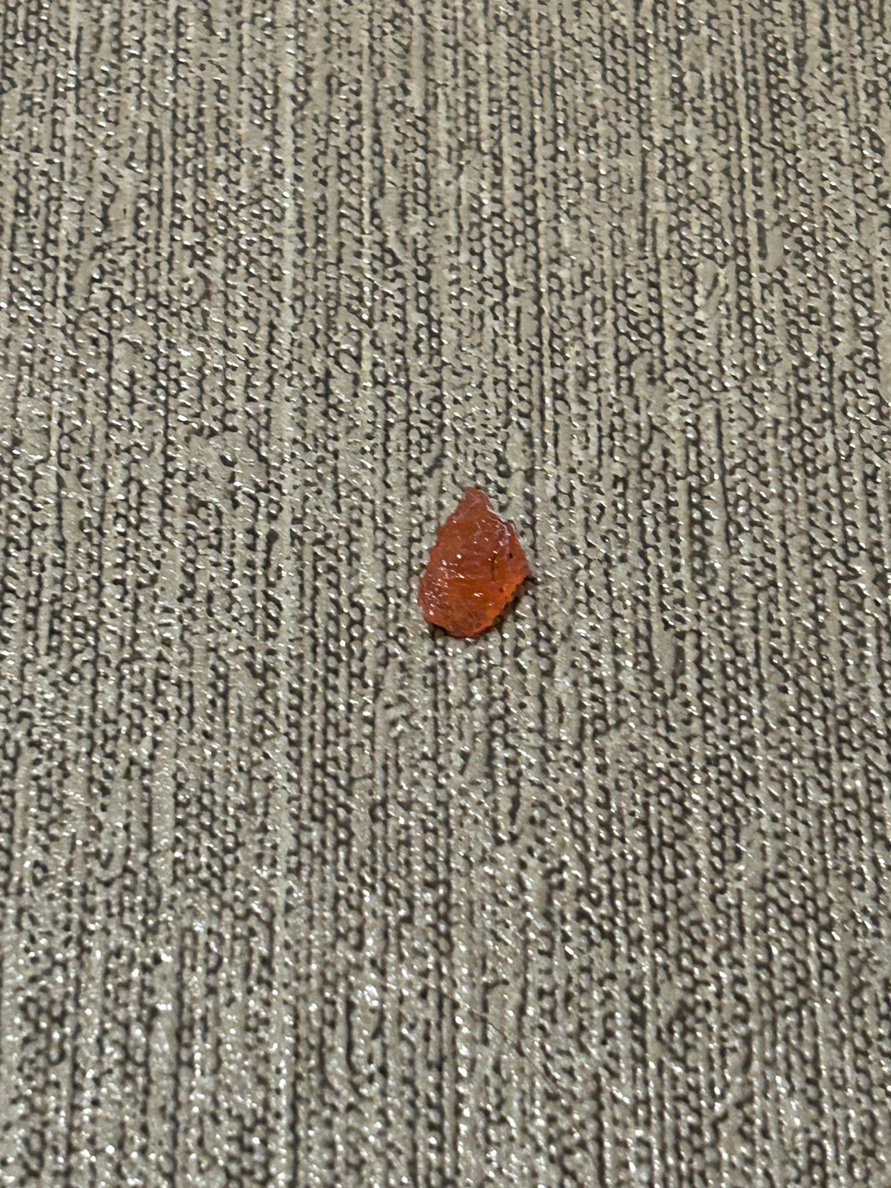 Some strange gummy was on the floor of the bathroom, along with other bits of debris, when I first walked in.