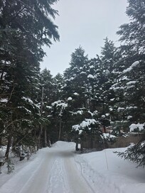 Up the driveway. Make sure your rental gives u studed tires, if traveling during winter.