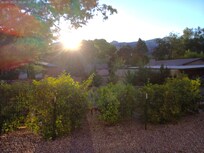 Sunrise view from kitchen window.