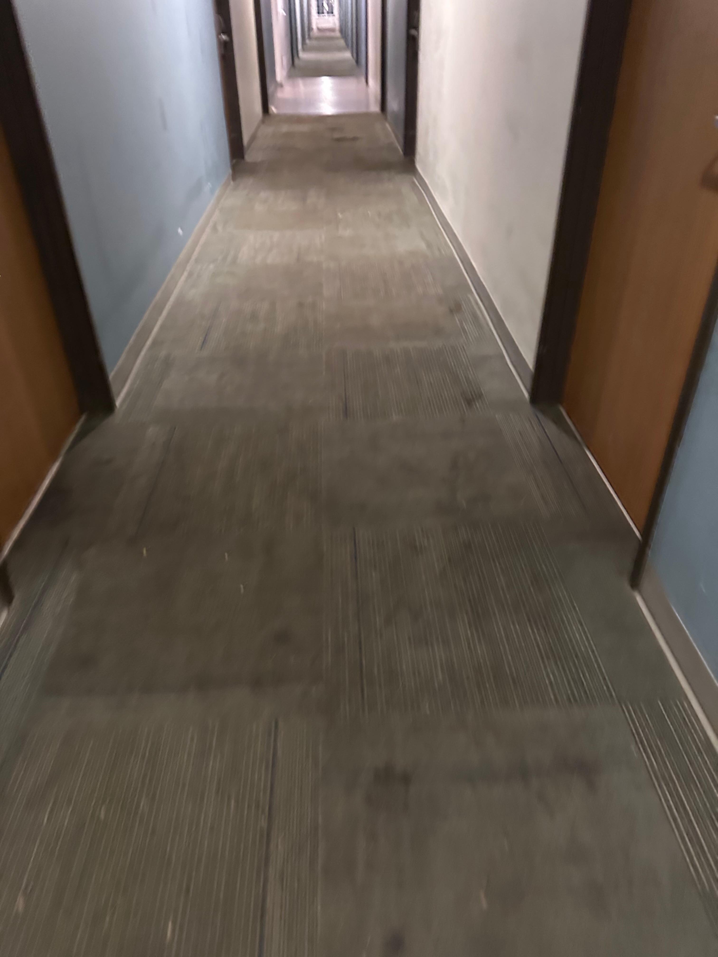 Dirty & Smelly Hallway