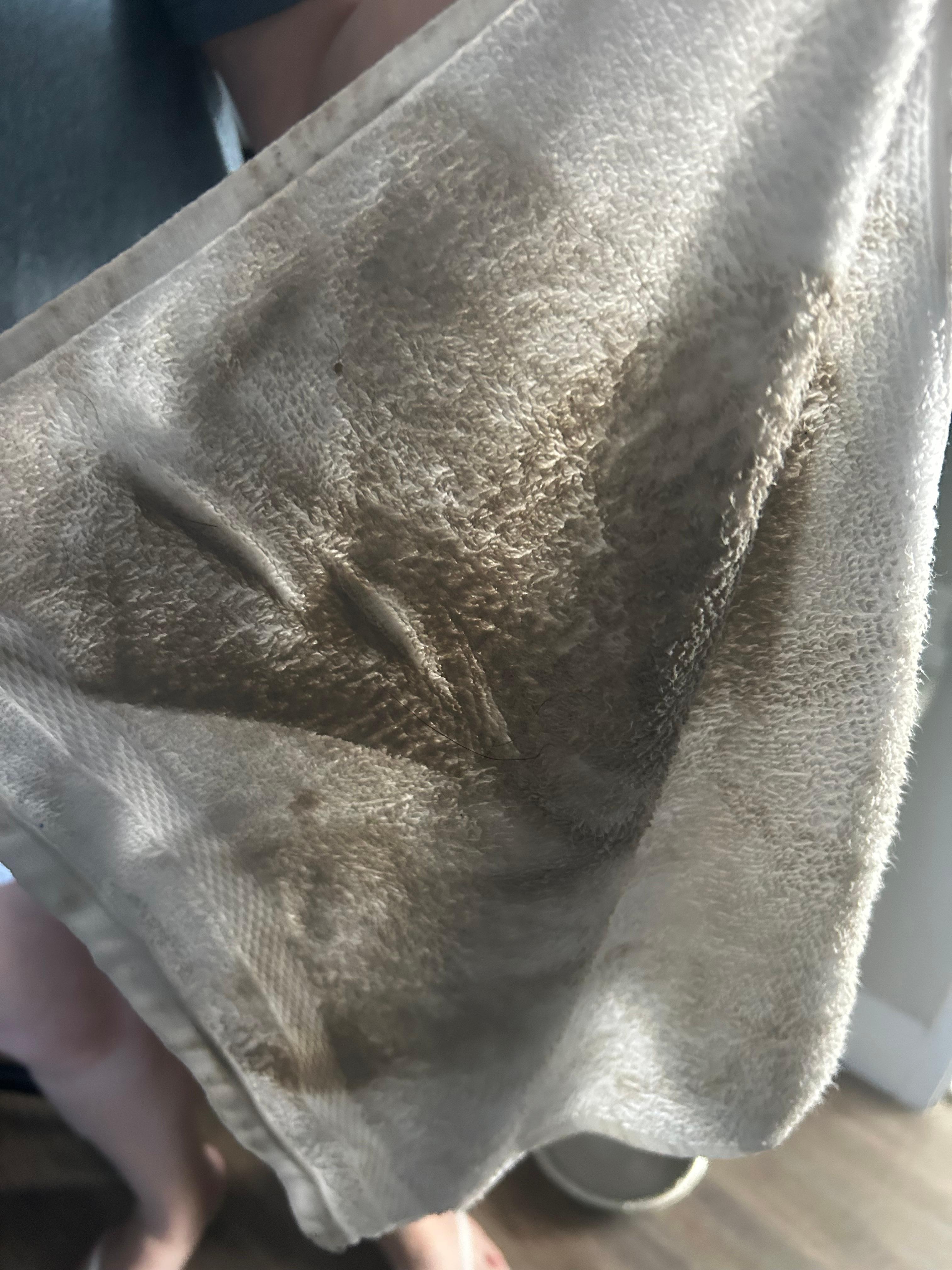 This was after wiping the floor of a freshly checked in room.