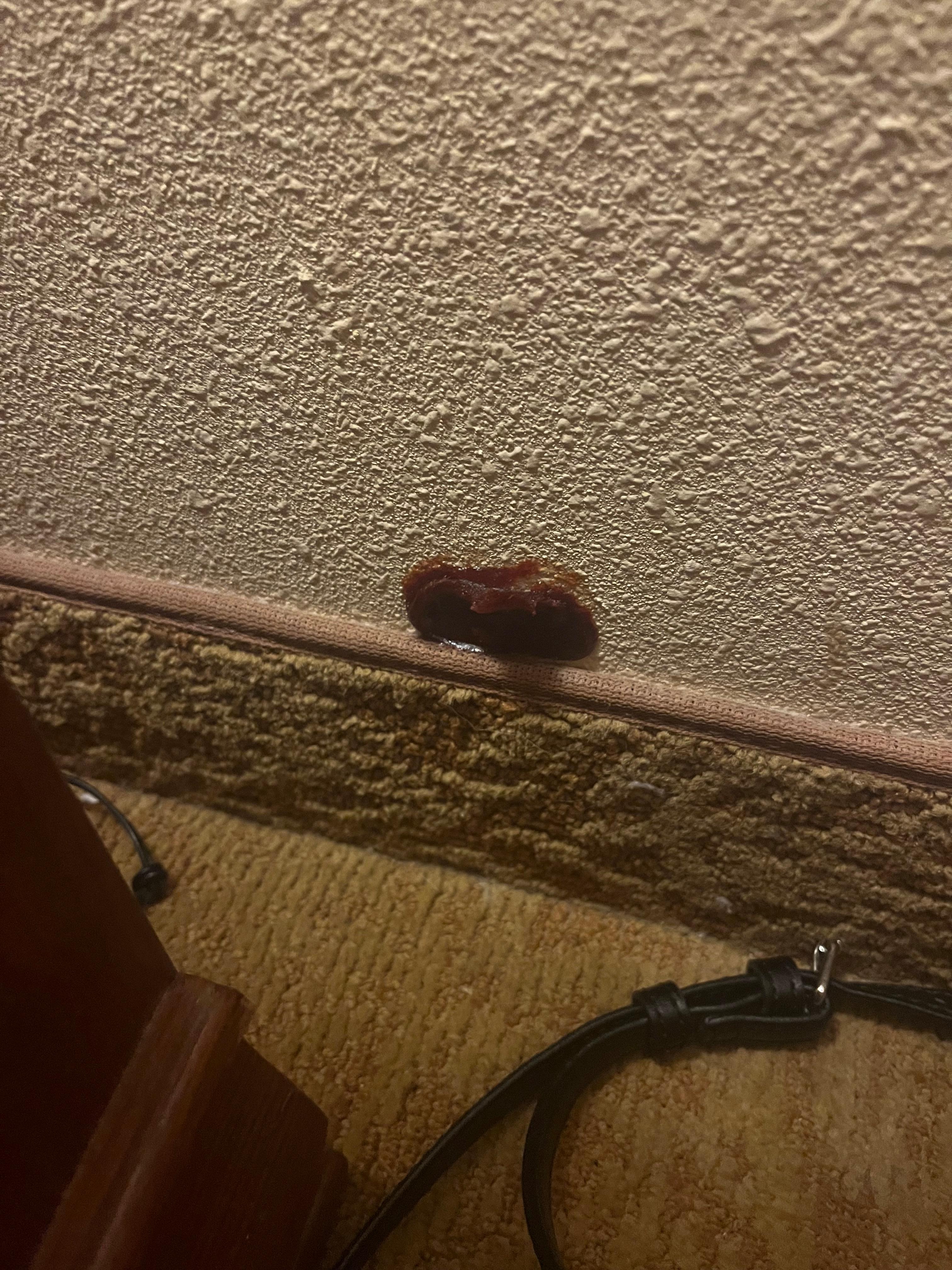 Found this in wall and sent message to staff to see what it is was and they never replied. 