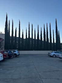 From the parking lot, first morning.