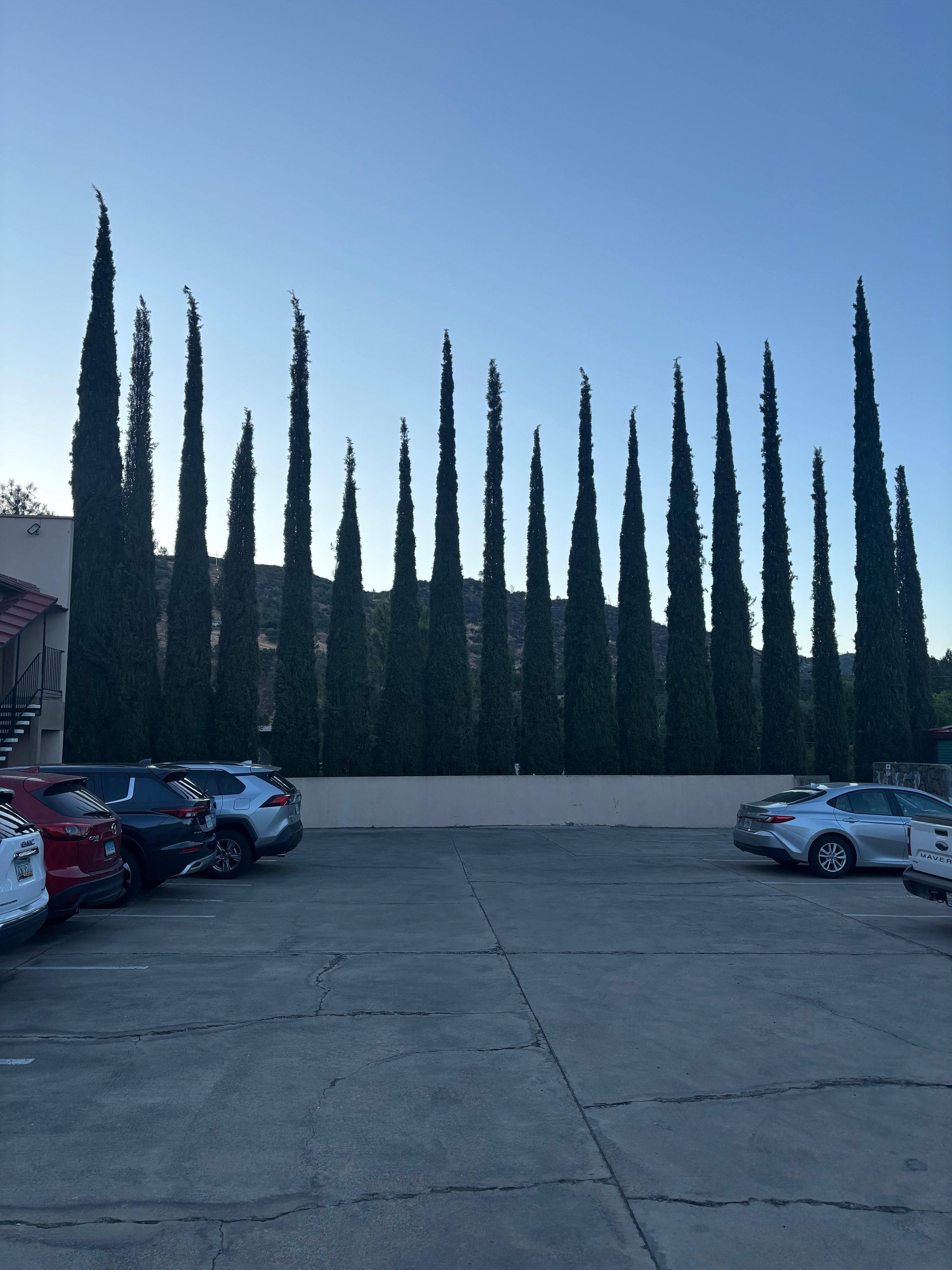 From the parking lot, first morning. 