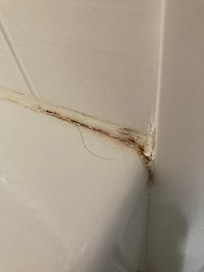 Hair and grossness in tub
