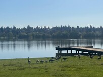 Walking Green Lake is a must if staying near UW.