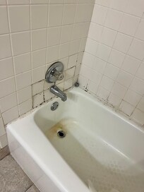 Moldy shower
