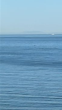 Japanese island Tsushima on horizon