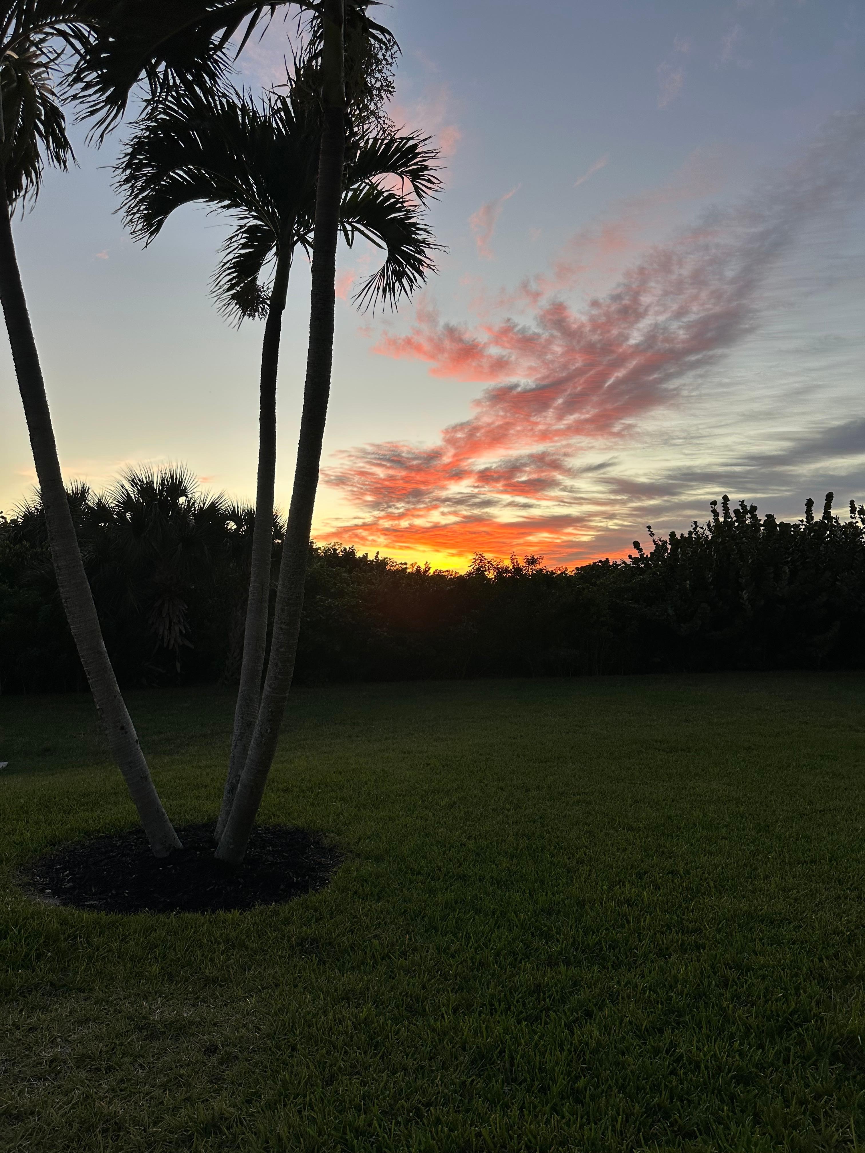 Sunset from near the pool