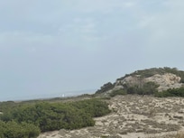 Arenal