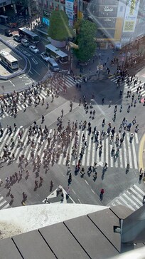 Shibuya Crossing