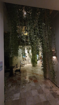 The hanging gardens in the atrium