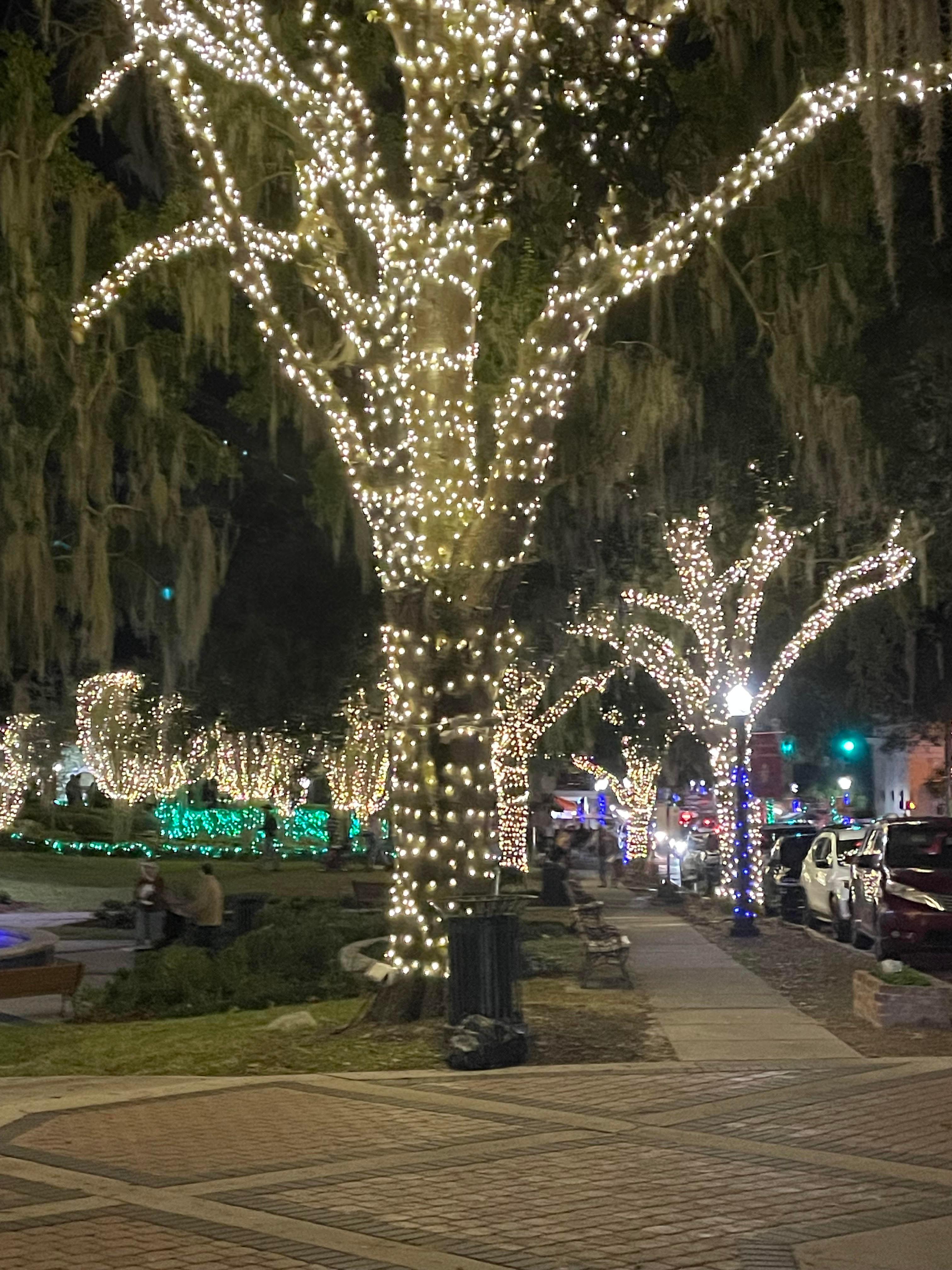 Downtown Mt Dora