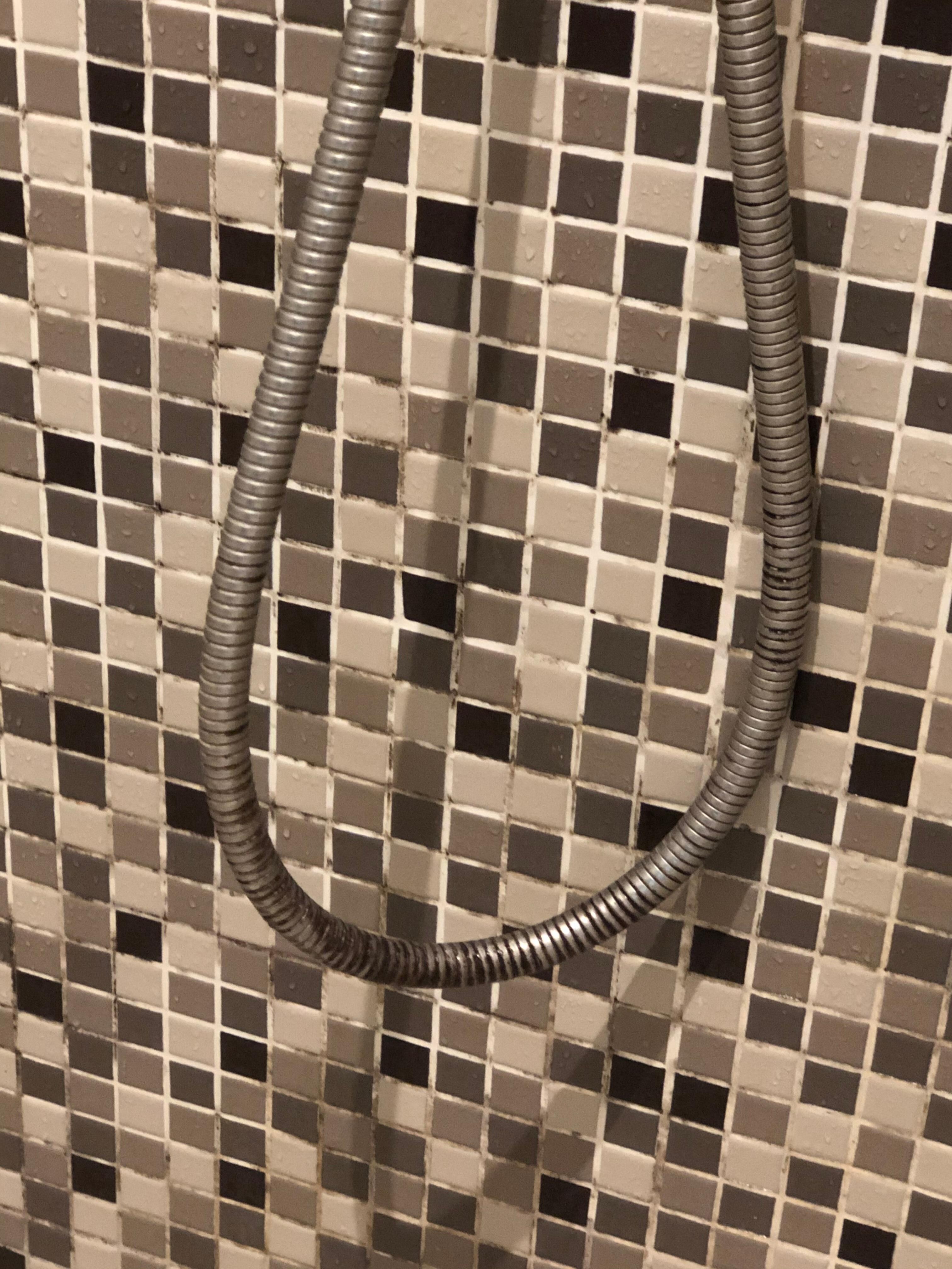 花灑水龍頭連接的水管已發黑發霉