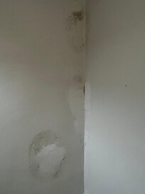 Schimmel an den Wände