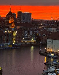 Utsikt från rummet.