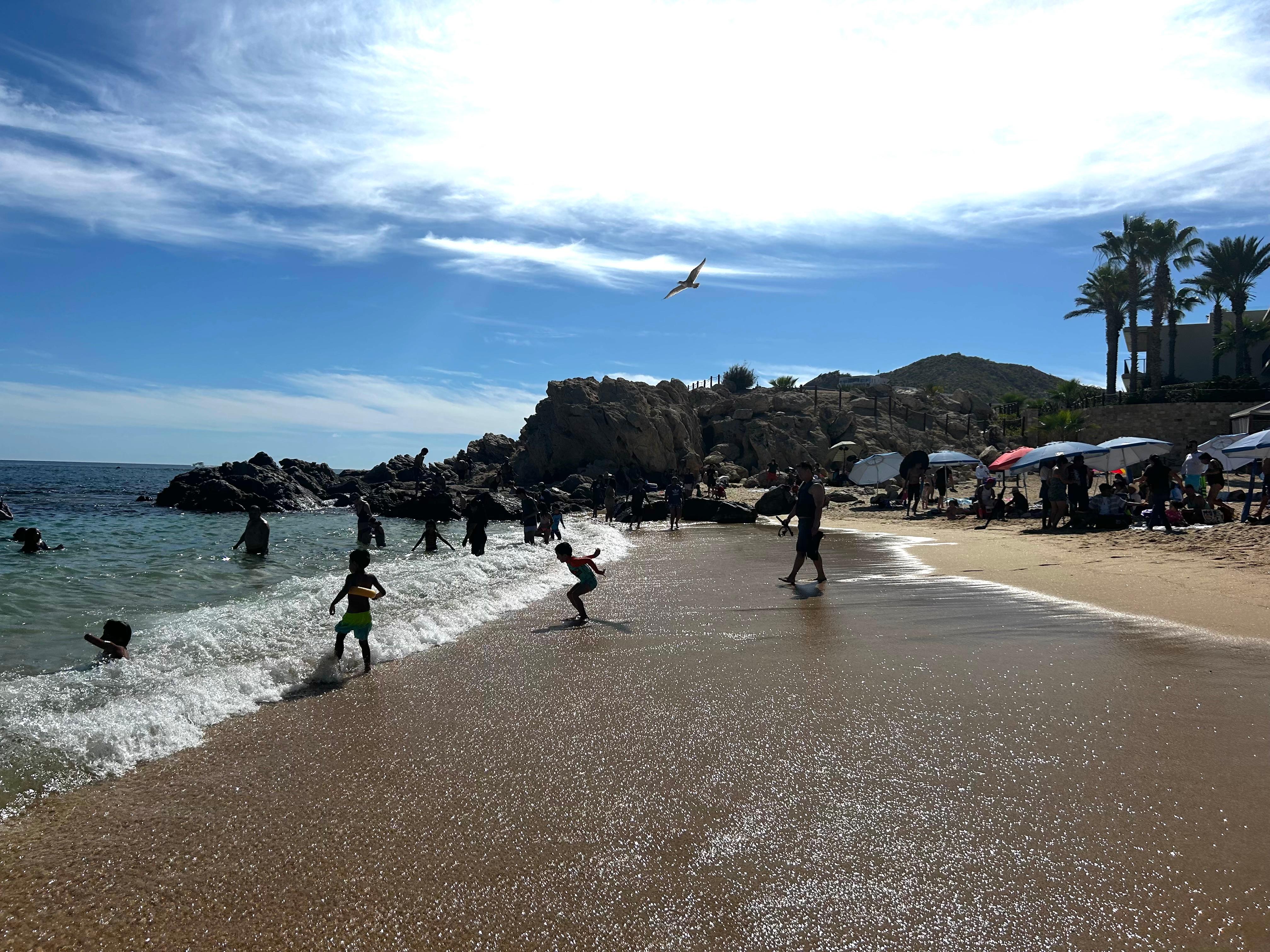 Snorkeling beach 15 min drive. I saw octopus, many trumpet fish and a green moray