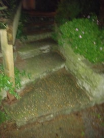 Steps in dark