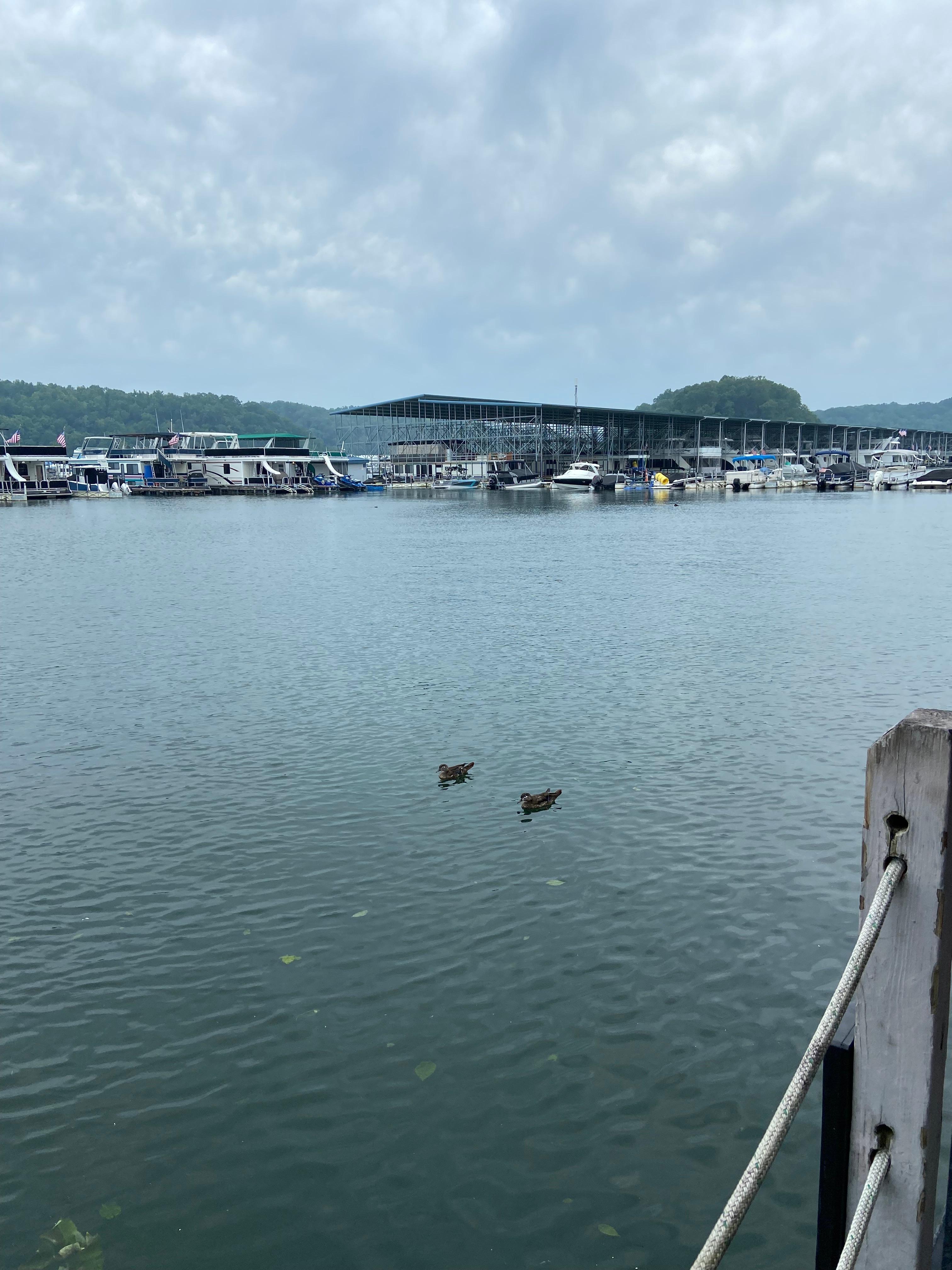 Beautiful Lake Cumberland 