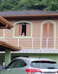 Até o neném da família amou