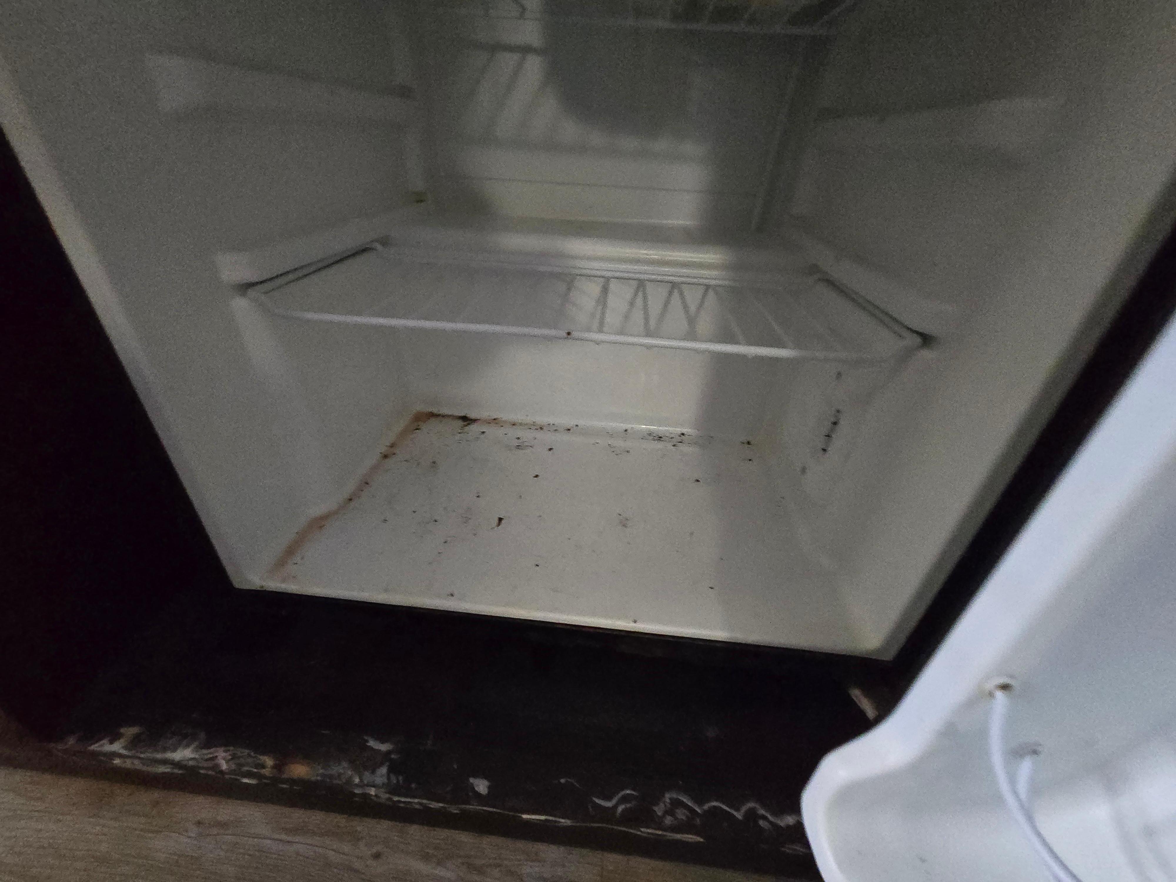 Refrigerator hasn't been leaned in a very long time. Smelled horrible when we opened the door