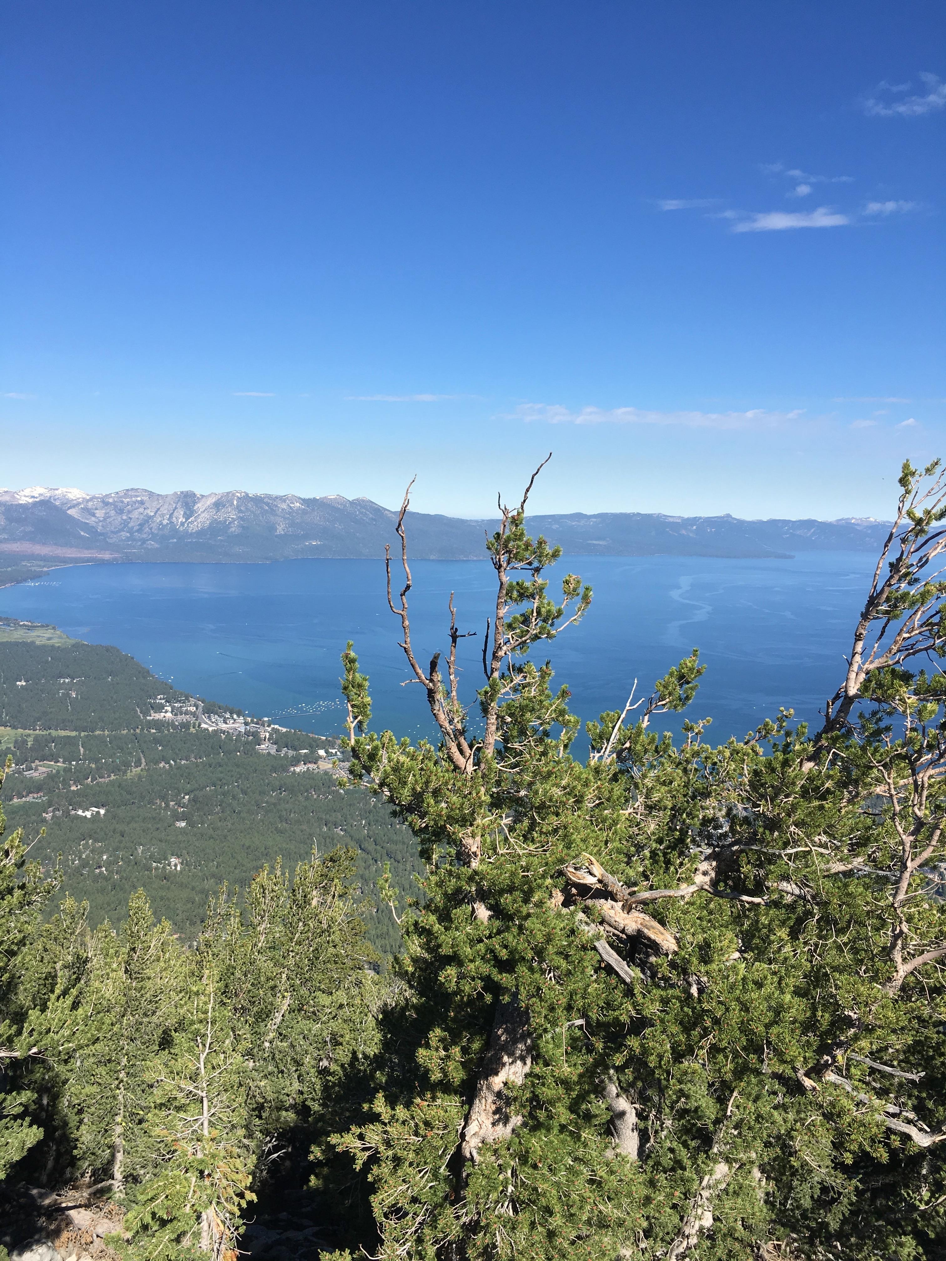 The lake from the top of heavenly