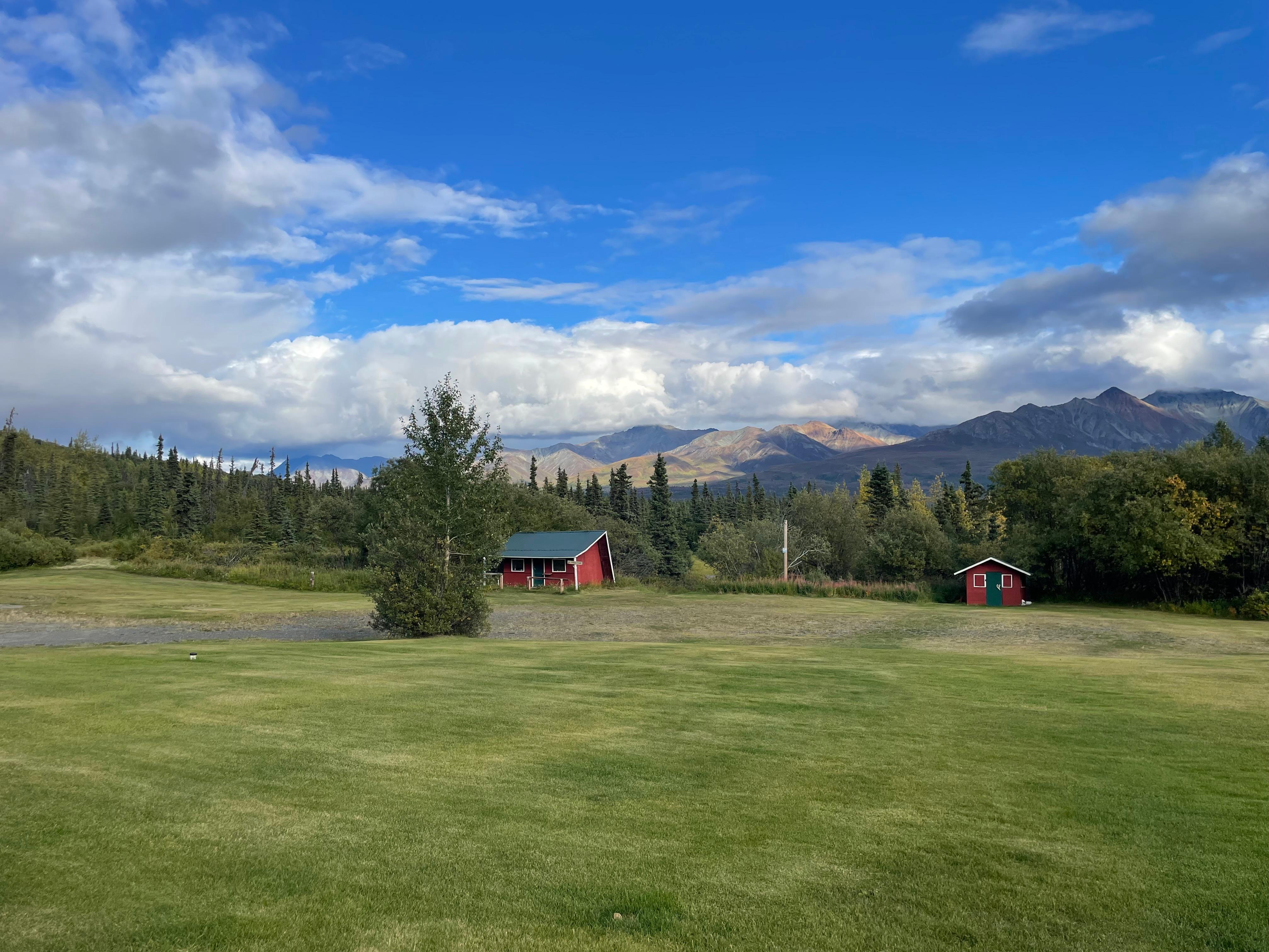 Backyard view