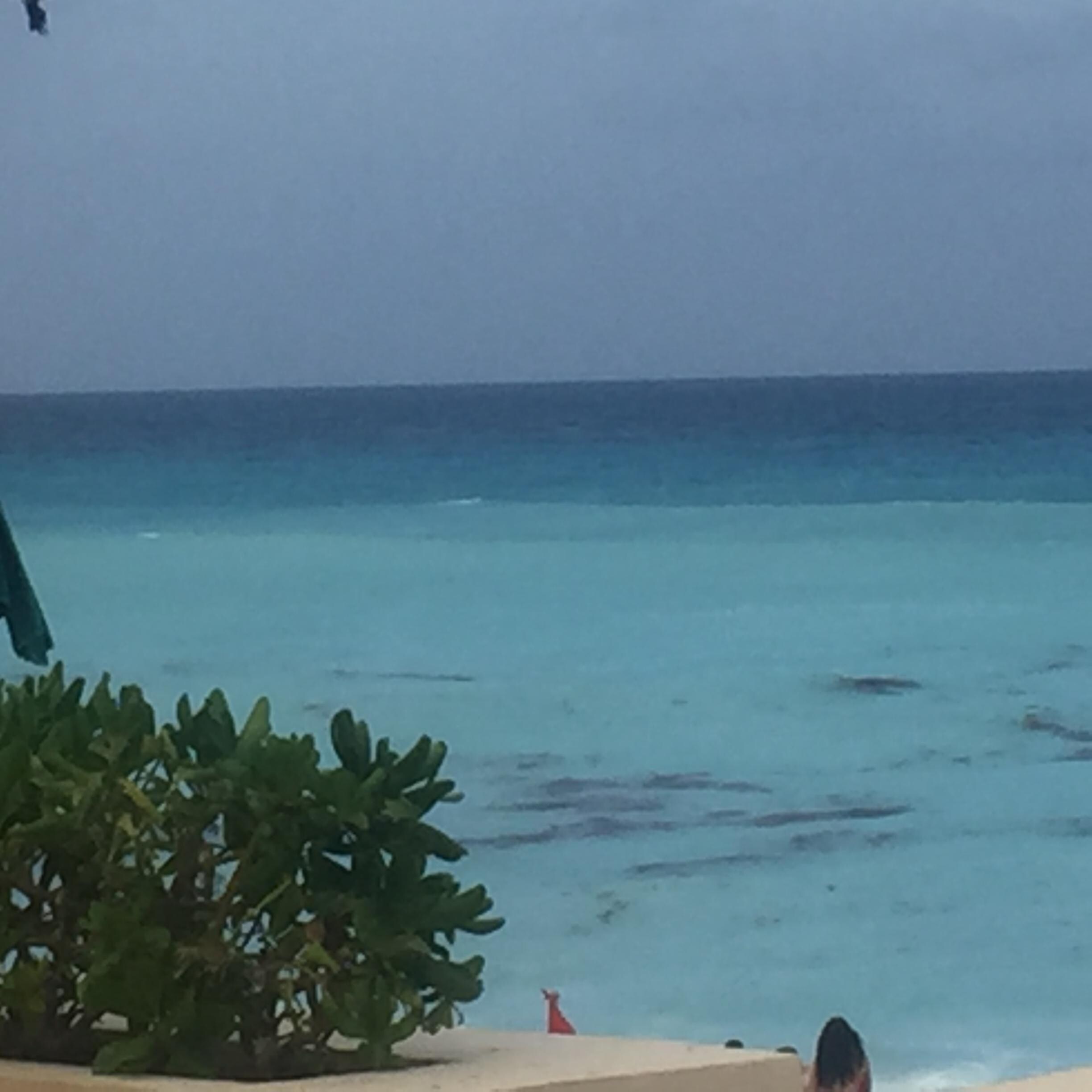 Ocean