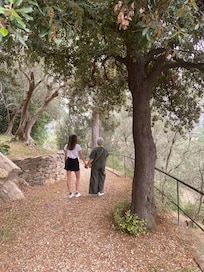 Passeggiata tra gli ulivi