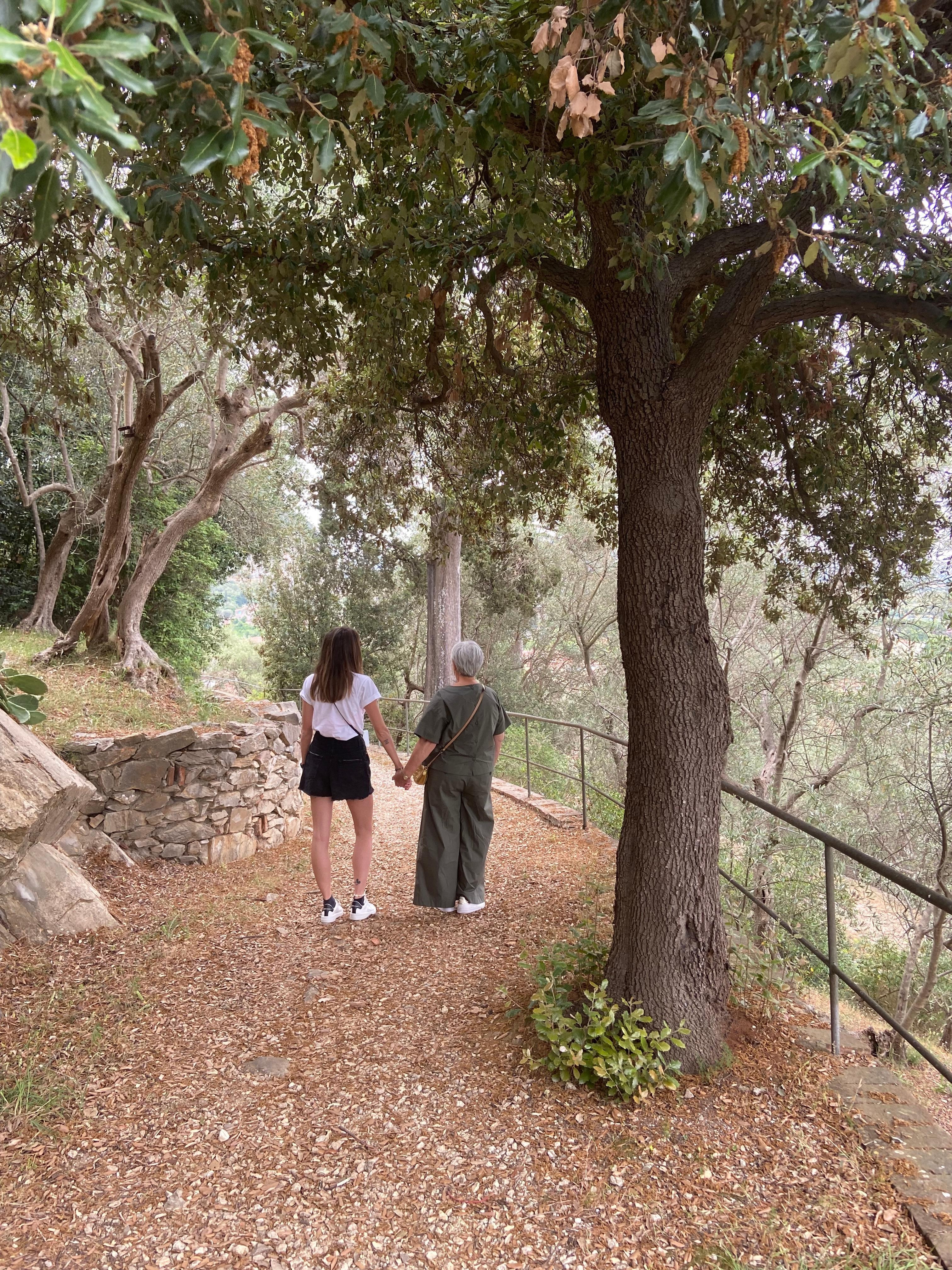 Passeggiata tra gli ulivi