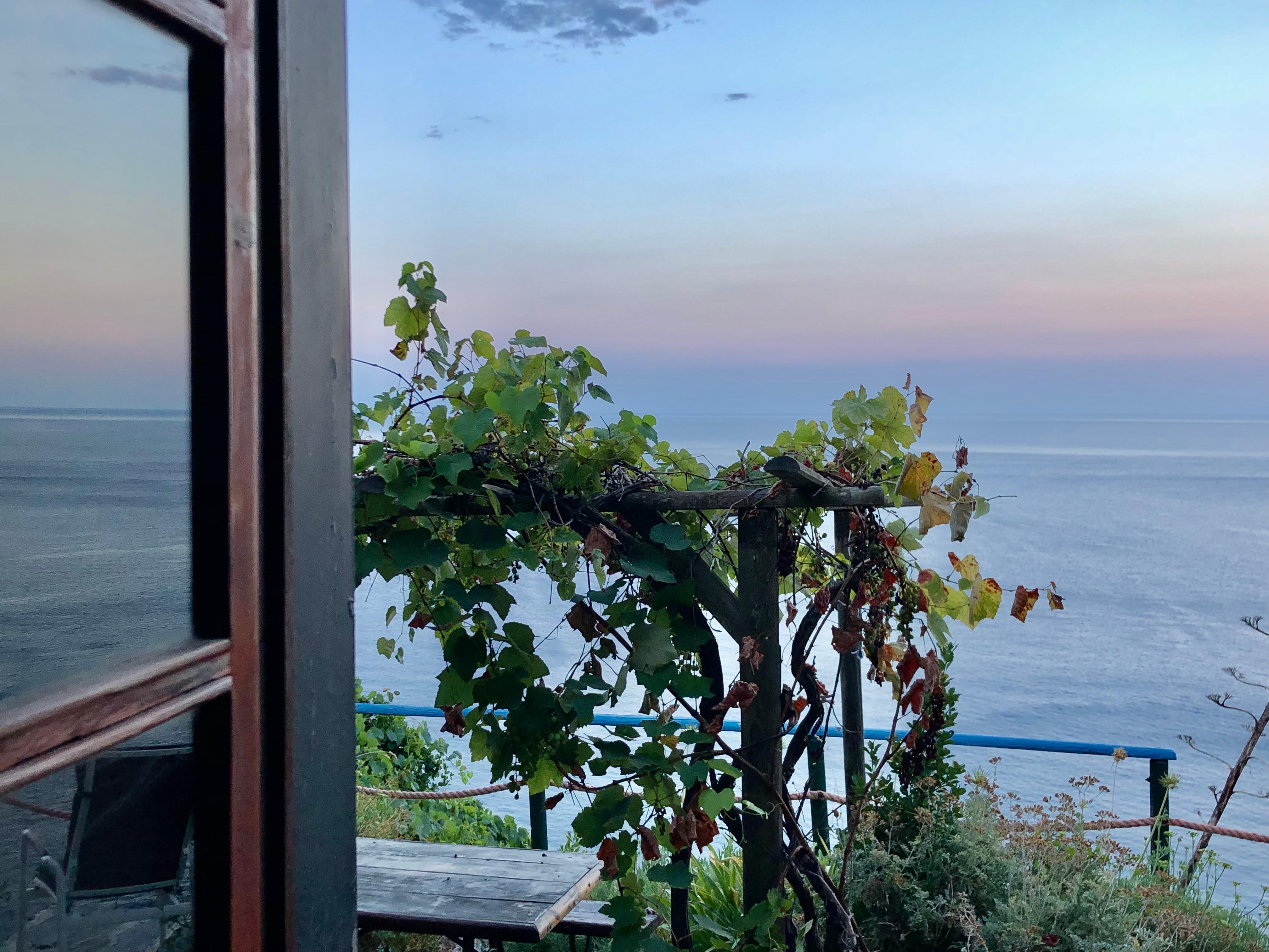 Looking out at the grapevine and sea from inside the tower