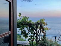 Looking out at the grapevine and sea from inside the tower