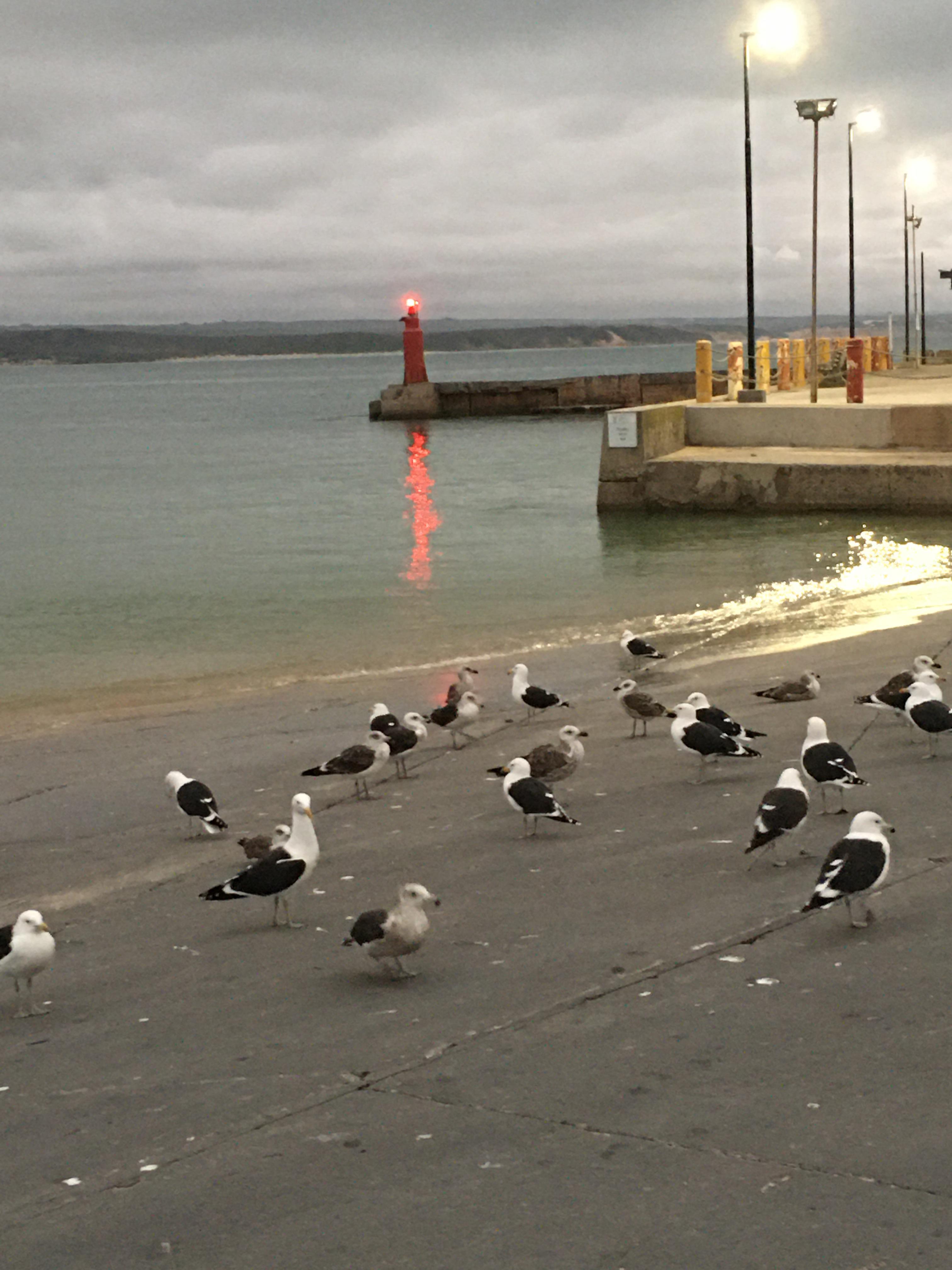 Had delicious fish and chips at ‘The Anchor’ at the harbour