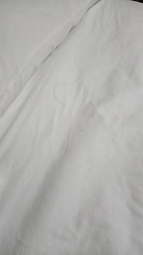 Hair and stains on sheets