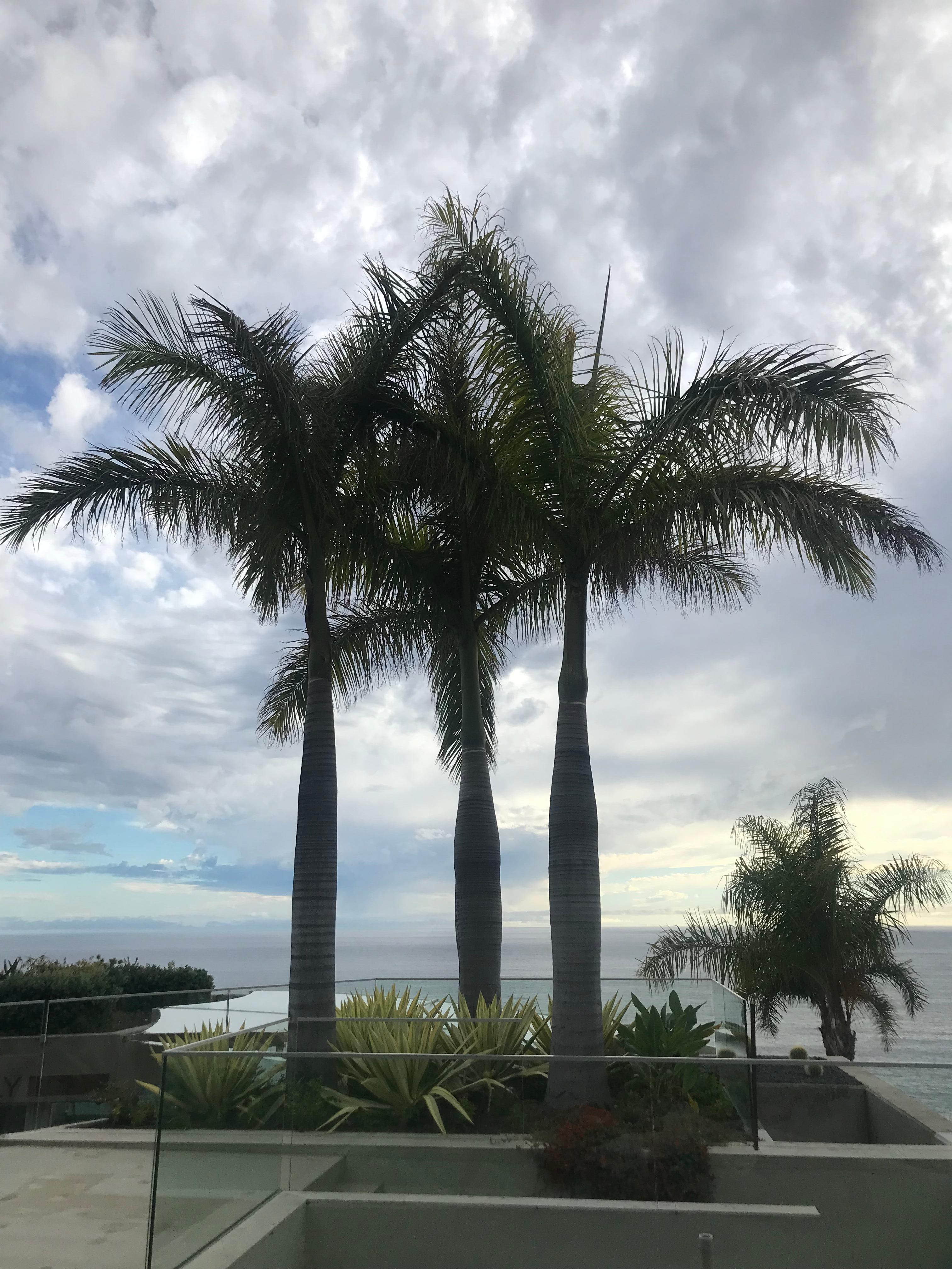 The view on the roof 