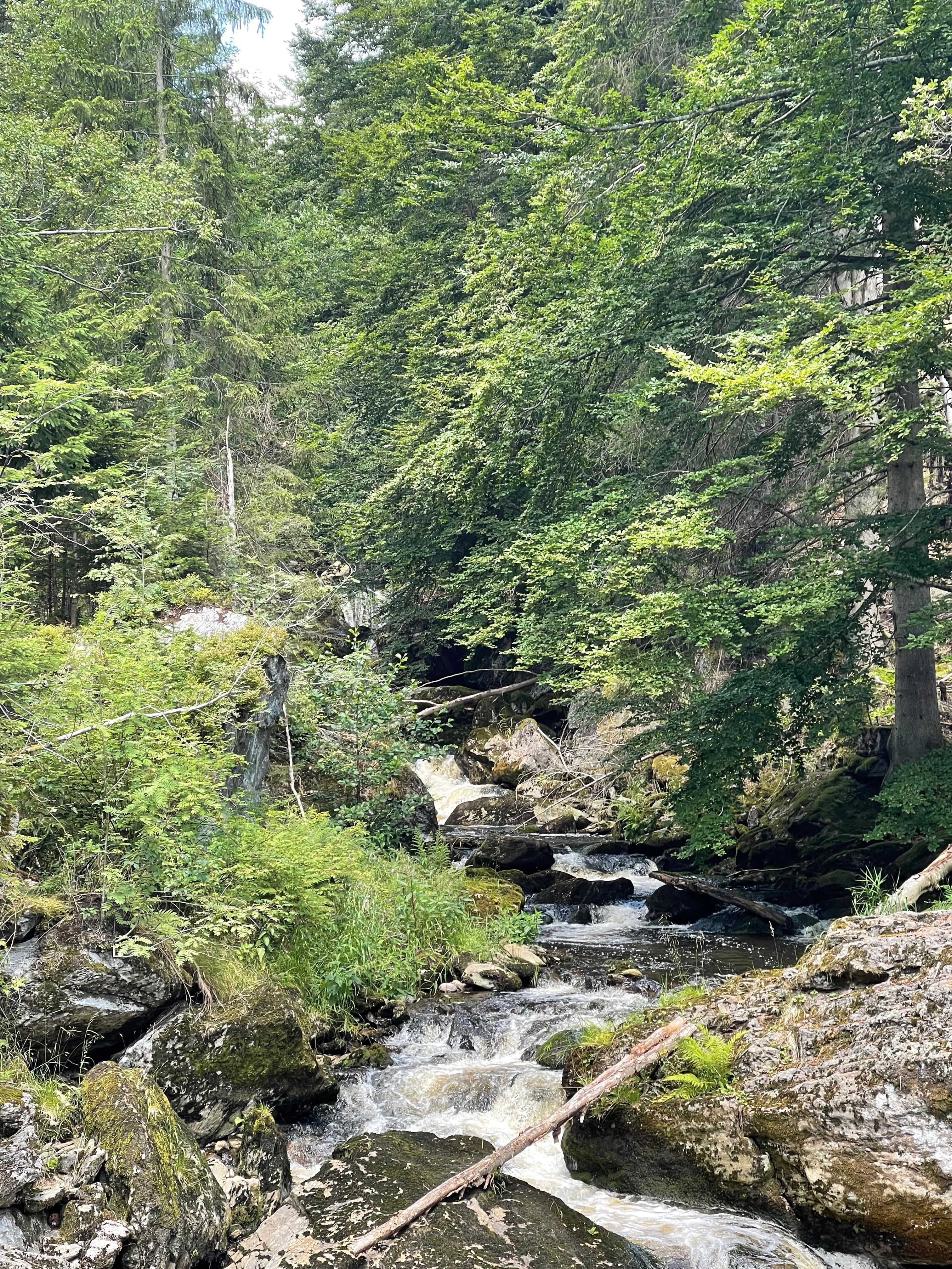 Wanderung vom Hotel aus