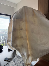 Mold can n inside of cover