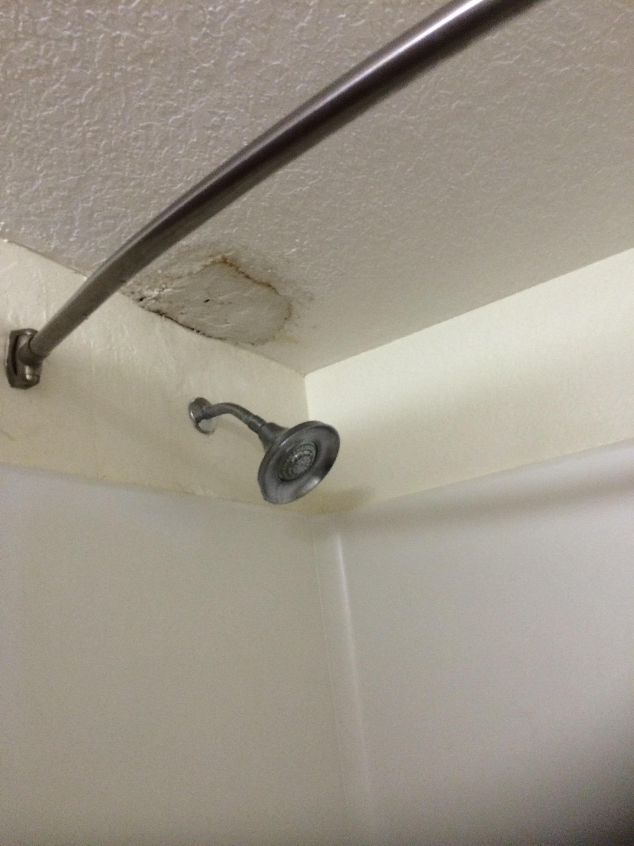 Shower repair