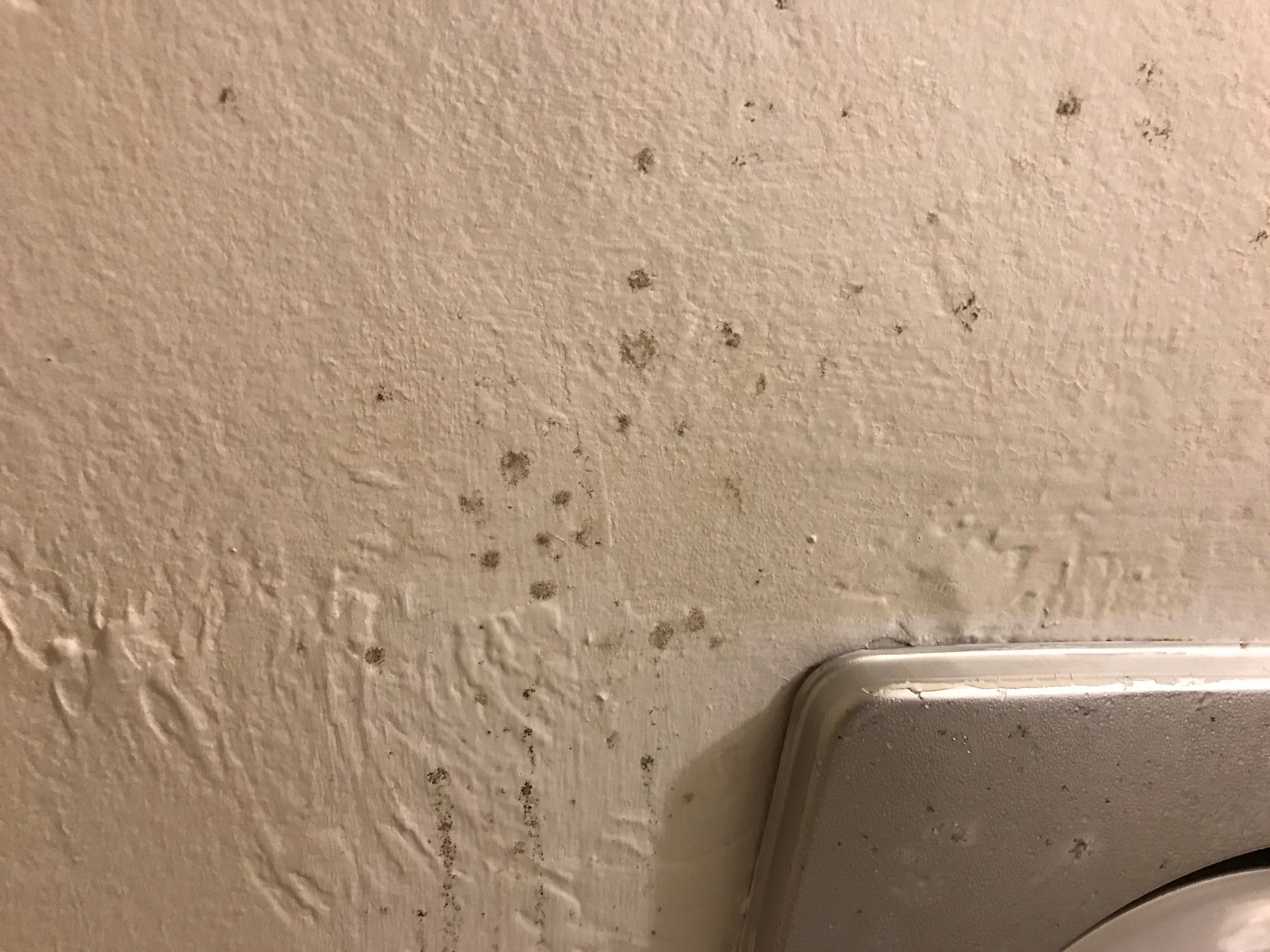Mold on bathroom ceiling